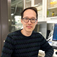 Group Leader, Coordinator